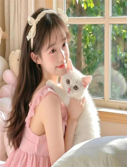 探秘《我们聊聊性吧 第一季》的市场表现与观众反馈